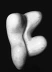 Immagine 51.jpg (13kb)
